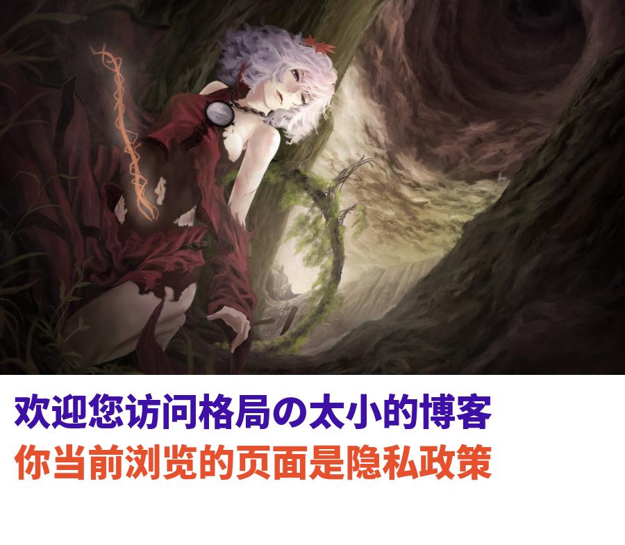隐私政策-格局の太小